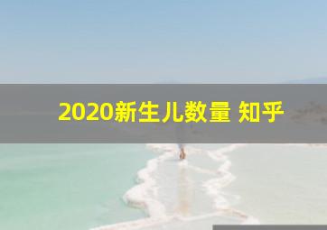 2020新生儿数量 知乎